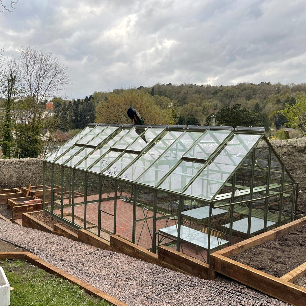 10x20 rhino premium in tuscan olive with a peacock standing ontop