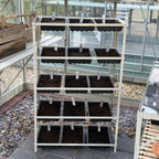 Rhino Seedrack 15 Tray
