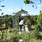 Tuscan Olive Rhino Greenhouse