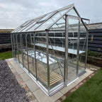 A glass Rhino Greenhouse stands idle on a paved surface, with multiple metal shelves inside. It is surrounded by a gravel path and a wooden fence in a backyard setting.