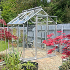 A glass Rhino Greenhouse with a metal frame stands on a gravel base, surrounded by red foliage plants and a gray wooden fence, under a clear, sunny sky.