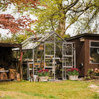 Clay Grey greenhouse in between a wood store and a outbuilding