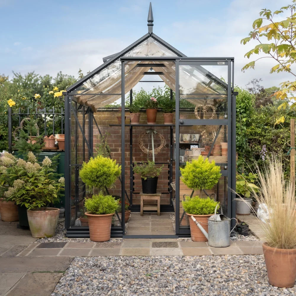 A glass-walled Rhino Greenhouse with a pointed roof houses potted plants on shelves, surrounded by more plants outside on a stone path. A watering can sits beside the entrance.