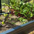 Close up of Rhino raised bed