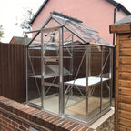 A small, glass-paneled Rhino Greenhouse with metal frames stands on a gravel area, bordered by wooden fences and structures. Sunlight reflects off its sloped roof and integrated shelving.