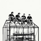 Four men sit on a Rhino Greenhouse roof, chatting and reading papers. Below, plants are arranged on shelves, indicating a gardening or Rhino Greenhouse setting.