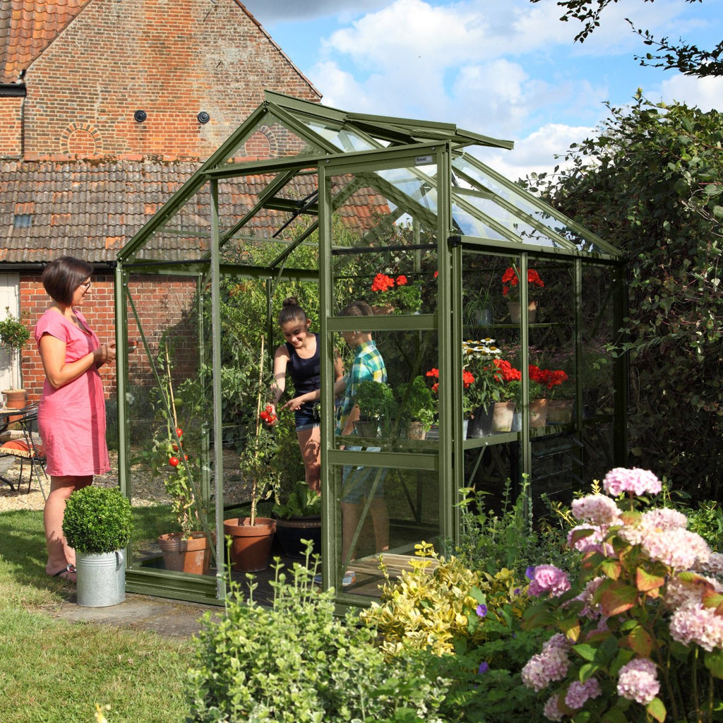 6x6 tuscan olive greenhouse