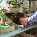 A person holds a small pot over a metal planting tray filled with soil, surrounded by plants and a BULBS & SEEDS box on a Rhino Greenhouse table.