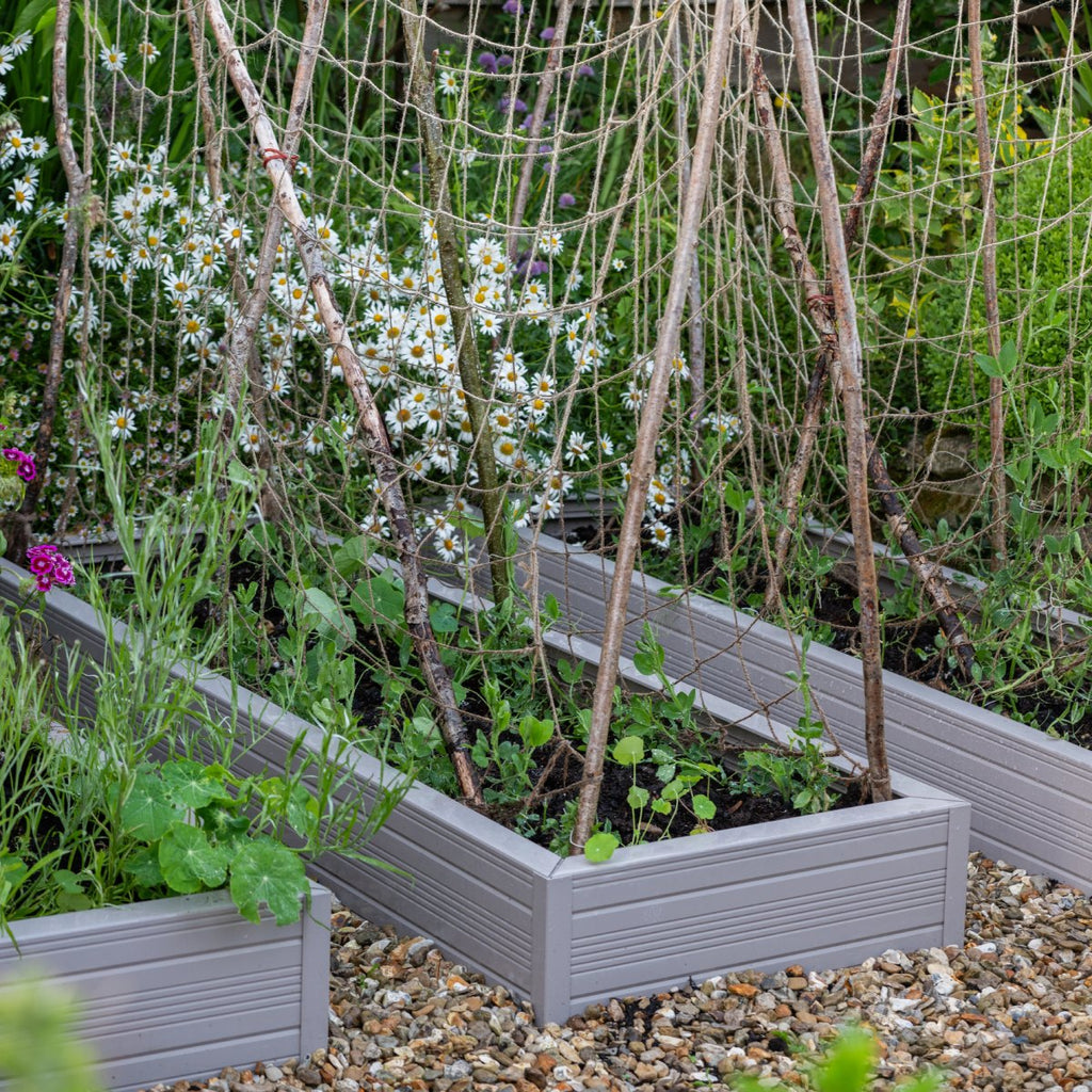 Wooden Rhino metal raised garden beds contain young plants supported by sticks and netting. The background features a garden with blooming flowers and green foliage, set on a gravel surface.