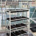 Rhino Seedrack 15 Tray